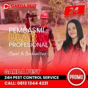 Jasa Pembasmi Ular di Bekasi Barat