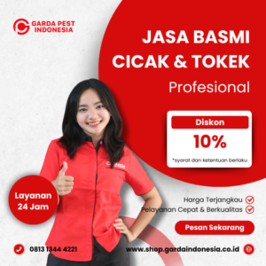 Jasa Pembasmi Tokek Terdekat