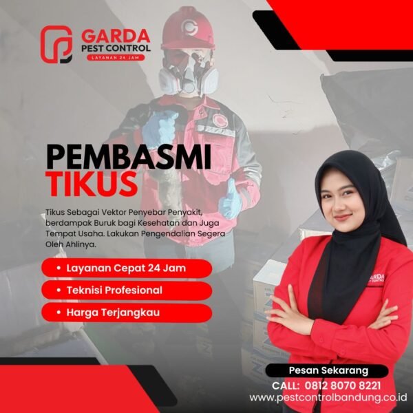 Jasa Pembasmi Tikus di Batununggal Bandung Solusi Pasti