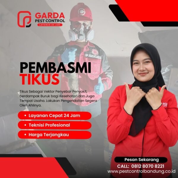 Jasa Pembasmi Tikus di Batununggal Bandung Solusi Pasti