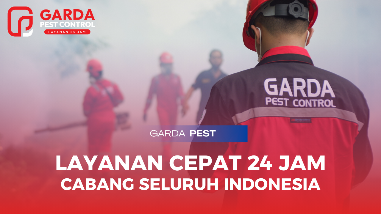 Jasa Fogging Nyamuk di Sumedang Terbaik No.1