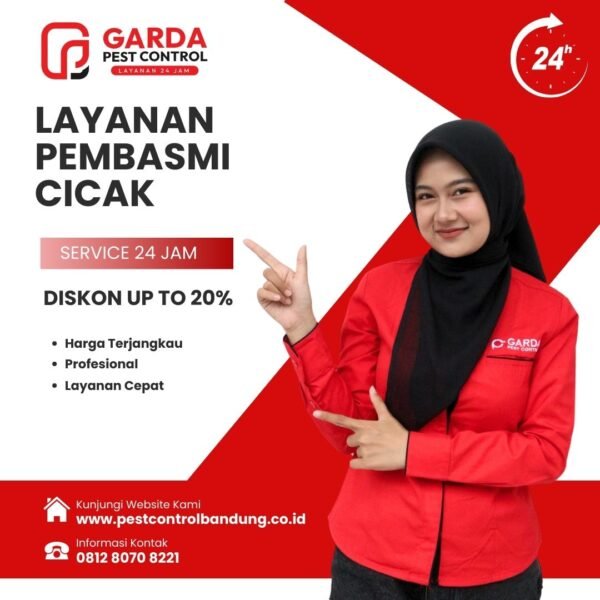 Jasa Pembasmi Cicak