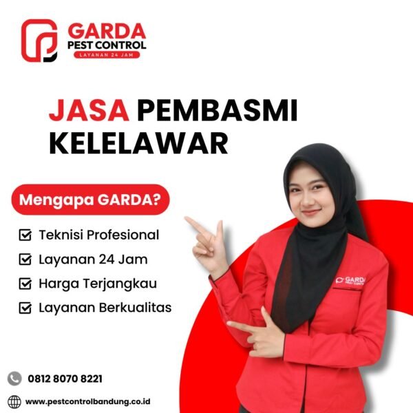 Jasa Pembasmi kelelawar di Bandung Profesional dan terbaik