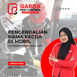 Jasa Pengendalian Hama Kecoa di Mobil