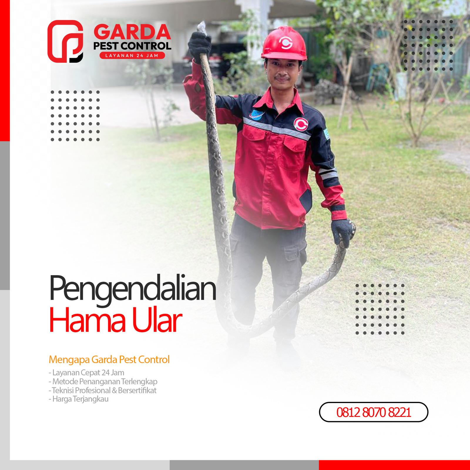 Jasa Pawang Ular Terdekat di Bandung Pembasmi Ular Profesional