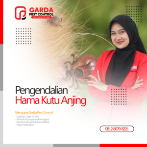 Jasa Pembasmi Caplak Kutu Anjing Terdekat di Bandung Garda Pest Control