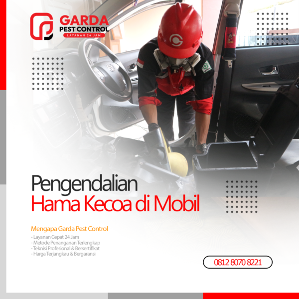 Jasa Pembasmi Kecoa di Mobil Terdekat di Bandung