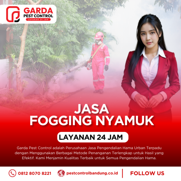 Jasa Anti Rayap di Bandung Terbaik & Termurah 2026