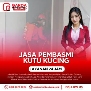 Jasa Pembasmi Kutu Kucing di Bandung Terbaik & Termurah 2026