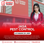 Jasa Pest Control di Cimahi : solusi Basmi Rayap no.1