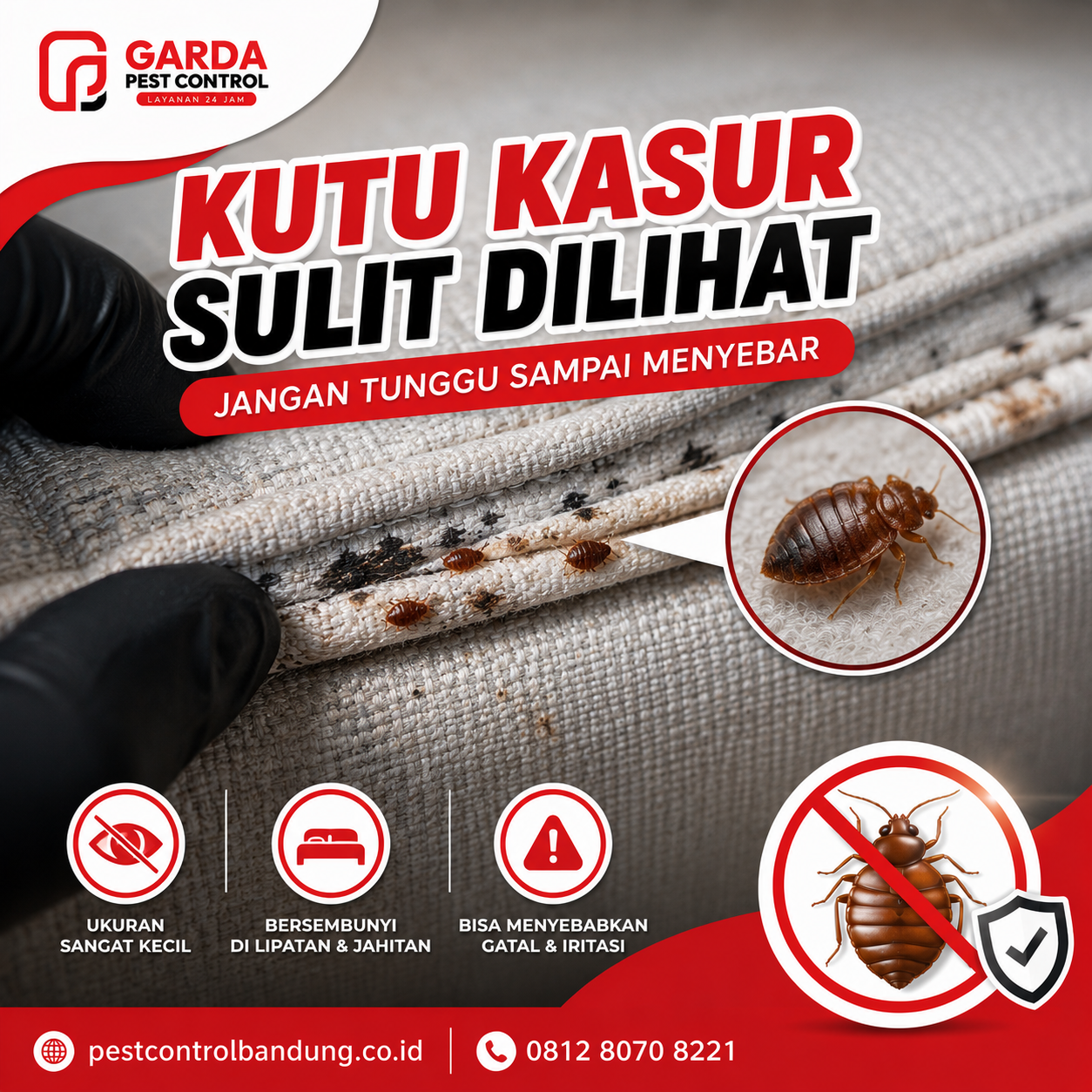 Jasa Anti Kutu Kasur Bandung: Solusi Profesional untuk Tidur Nyaman Kembali