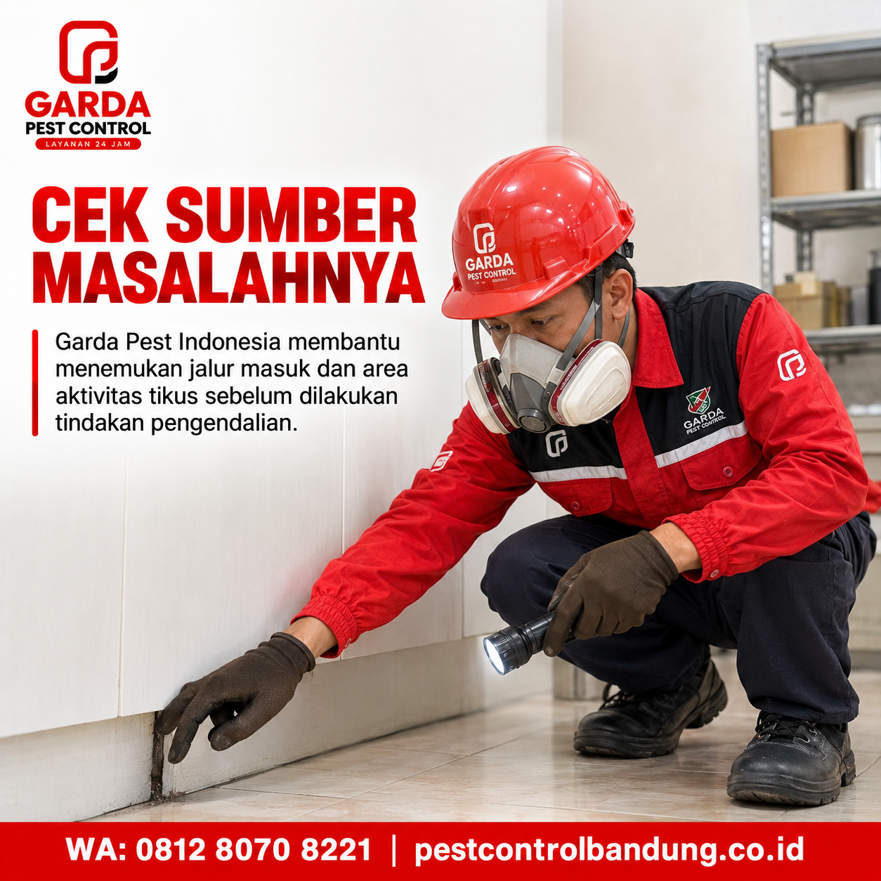 Jasa Basmi Tikus Bandung – Penanganan Profesional dan Sistematis - Gambar 4