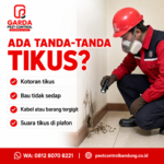 Jasa Pembasmi Tikus Jogja Profesional untuk Rumah & Bisnis