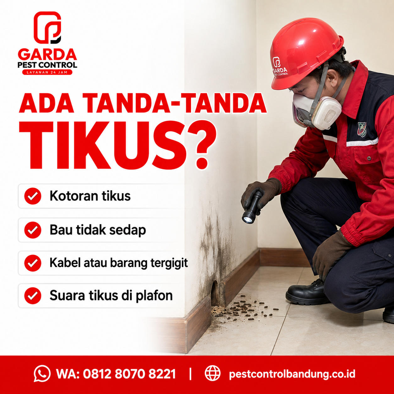 Jasa Basmi Tikus Bandung – Penanganan Profesional dan Sistematis - Gambar 2