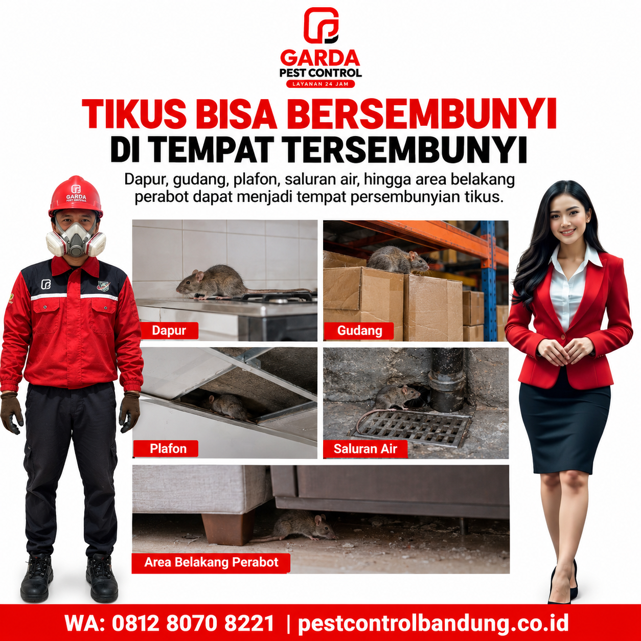 Jasa Basmi Tikus Bandung – Penanganan Profesional dan Sistematis - Gambar 3