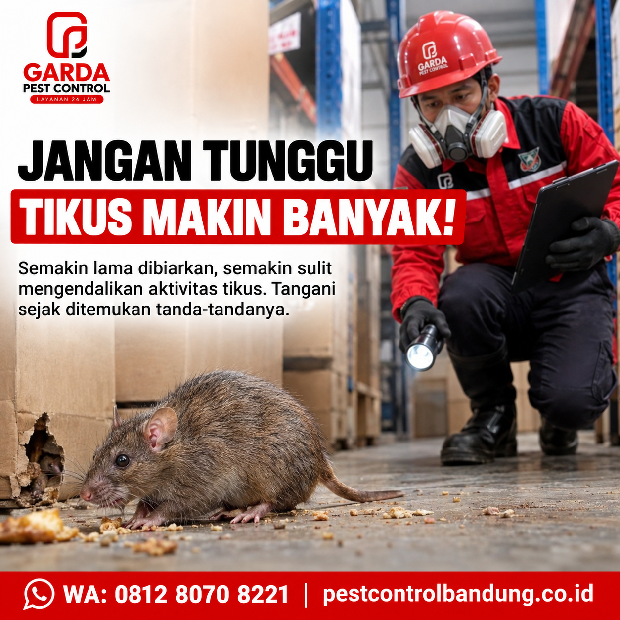Jasa Basmi Tikus Bandung – Penanganan Profesional dan Sistematis - Gambar 6