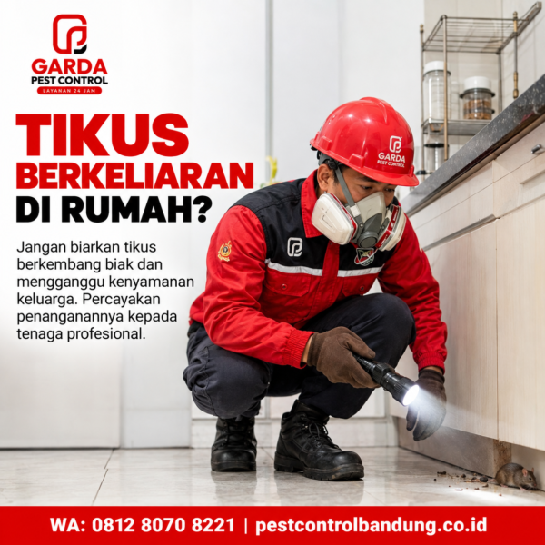 Jasa Basmi Tikus Bandung – Penanganan Profesional dan Sistematis