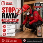Biaya Suntik Anti Rayap Pasca Konstruksi dan Panduan Lengkapnya
