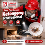 harga jasa pembasmi ketonggeng di bandung Lengkap dan Cara Penanganannya