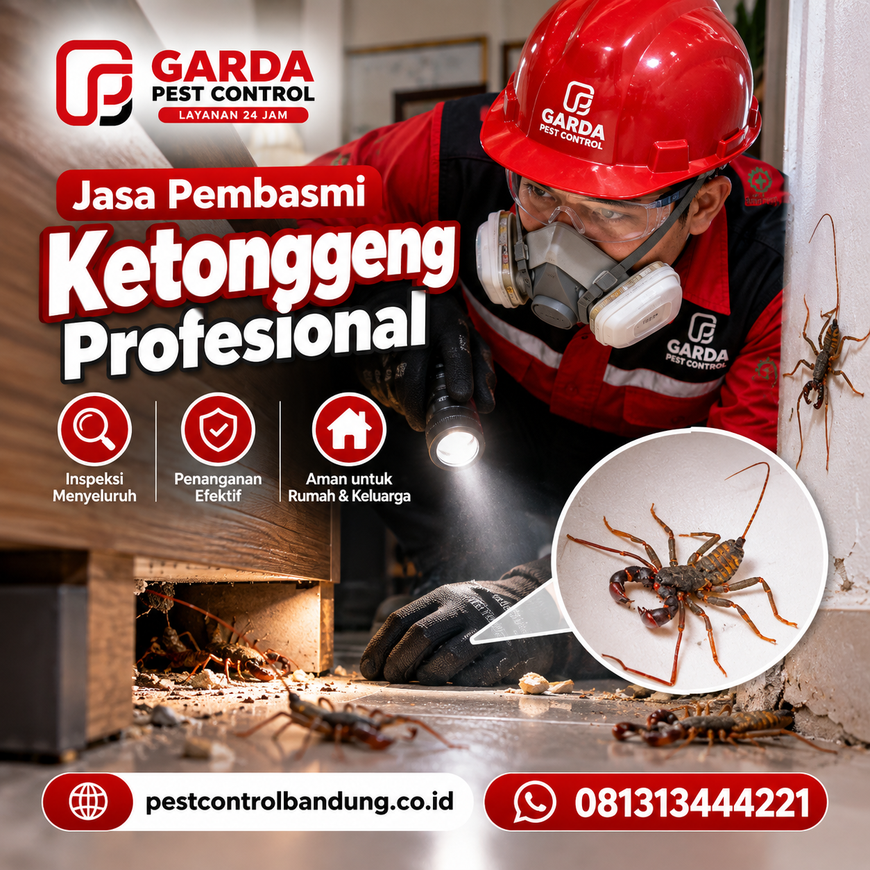 Layanan Jasa Pembasmi Ketonggeng Bandung Bergaransi dan Cepat