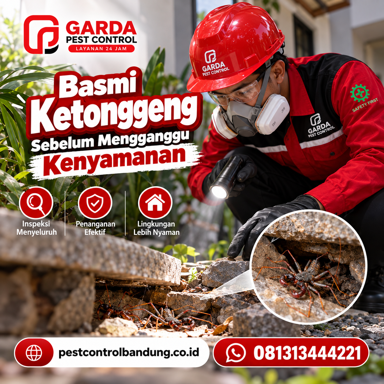harga jasa pembasmi ketonggeng di bandung Lengkap dan Cara Penanganannya